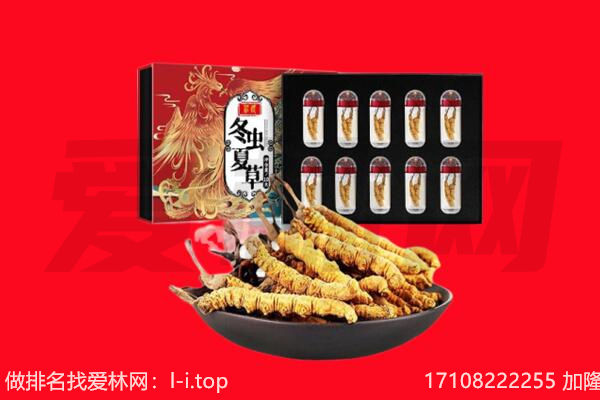 武威市古浪回收虫草.jpg